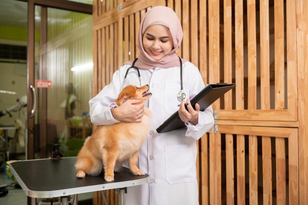 موظف استقبال بيطري السيرة الذاتية